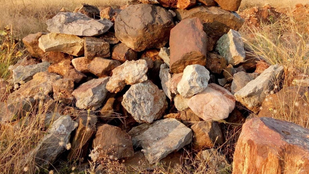 Ninhada de ovos fossilizados surpreende especialistas na Índia - Aventuras na História