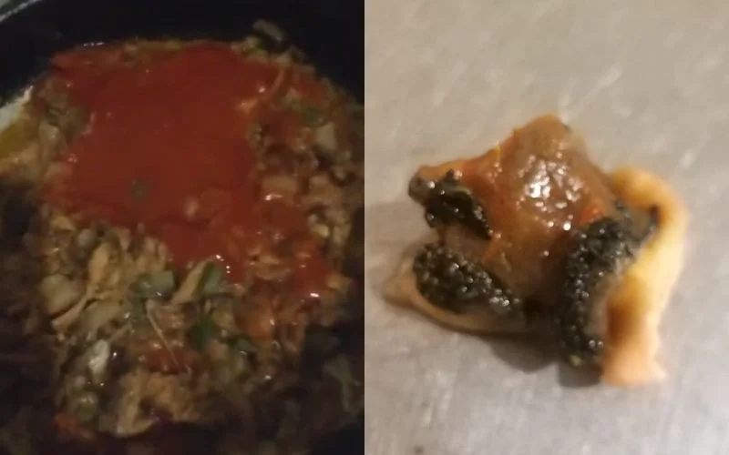 Cartilagem de animal: Família de Novo Hamburgo passa mal após consumo de molho de tomate abc+