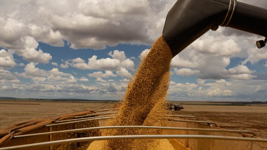 Xico Graziano A lição do Mato Grosso sobre a prosperidade
