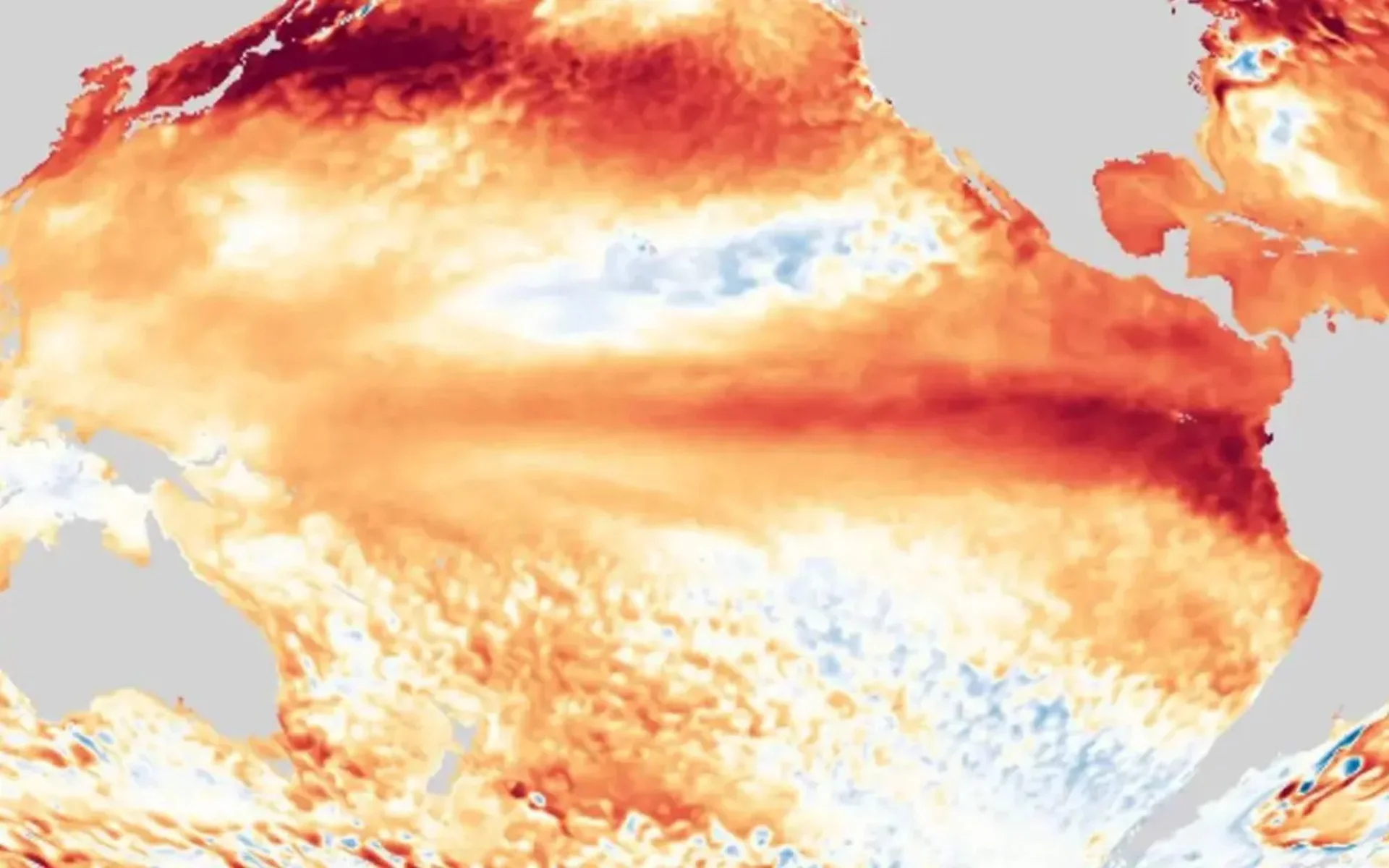 El Niño será intensificado por fenômeno que aumenta chuva no Brasil entenda abc+