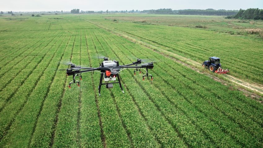 Ana María Ibáñez O boom agrícola da América Latina em xeque
