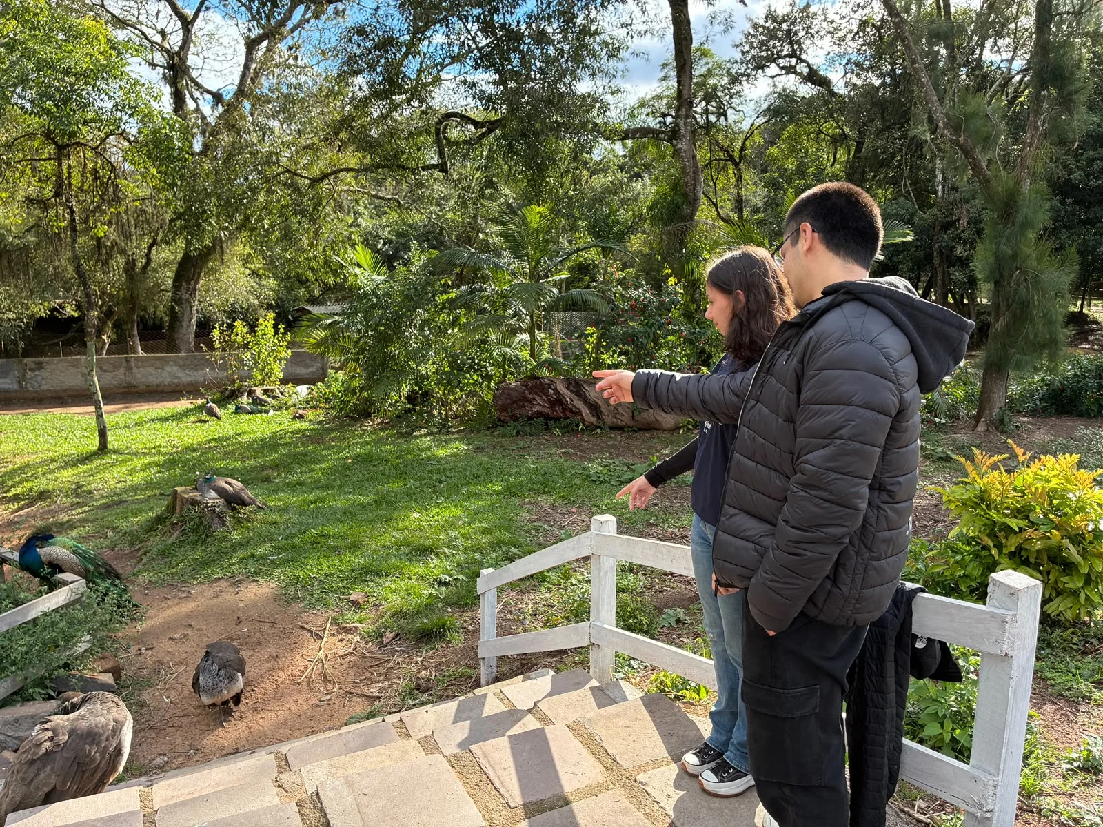 Zoológico de Sapucaia do Sul reabre após quatro semanas com visitação suspensa veja fotos abc+