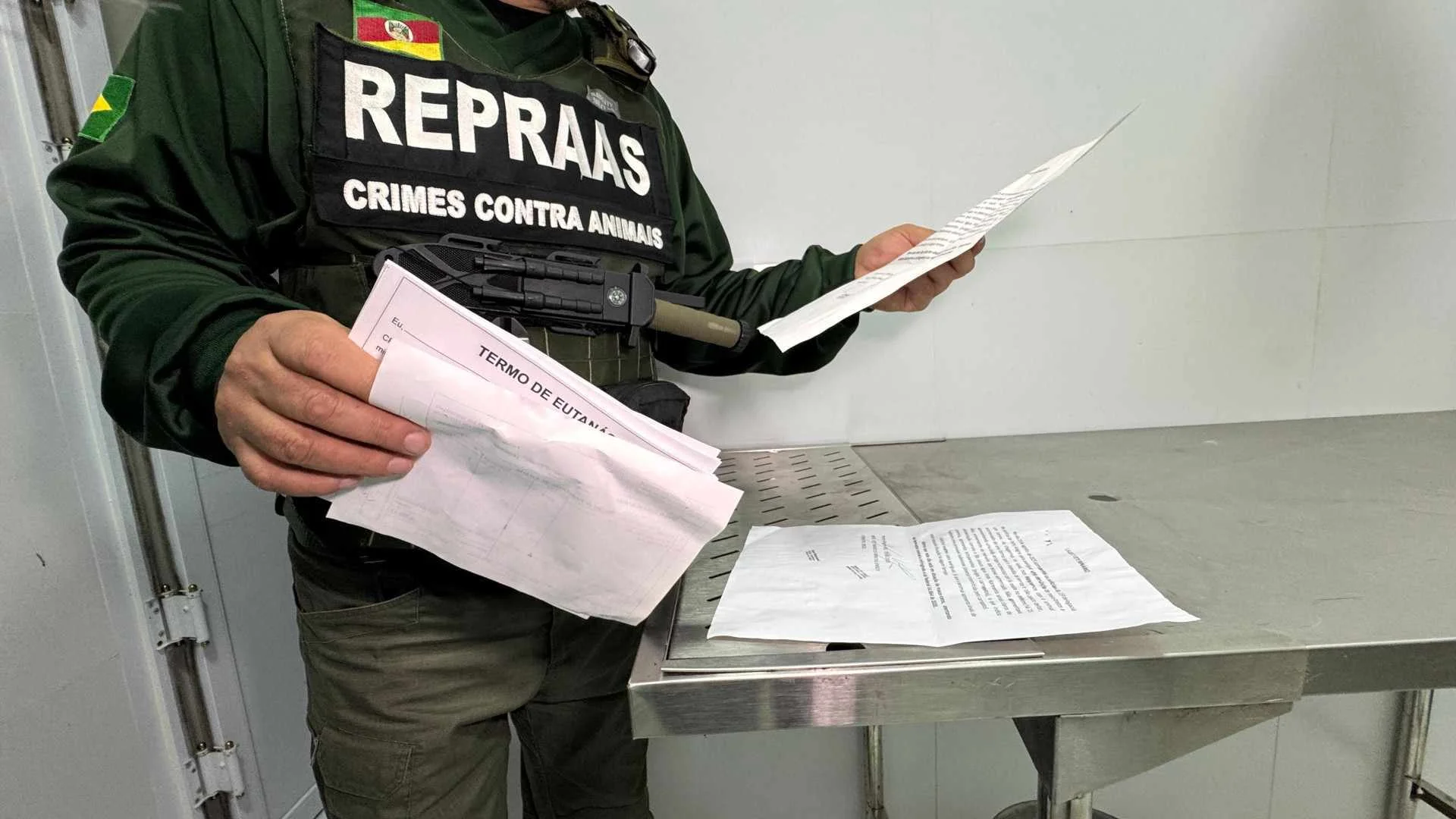 Não era piedade : Investigados por eutanásias fraudulentas arrecadaram R$ 670 mil para supostos tratamentos de animais abc+