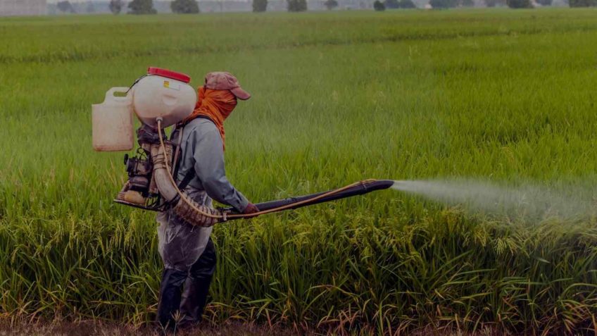 Agro é exemplo na logística reversa de embalagens de agrotóxicos
