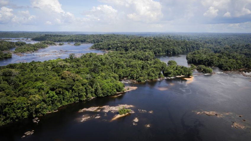 Desmatamento na Amazônia recua 31% em 10 meses