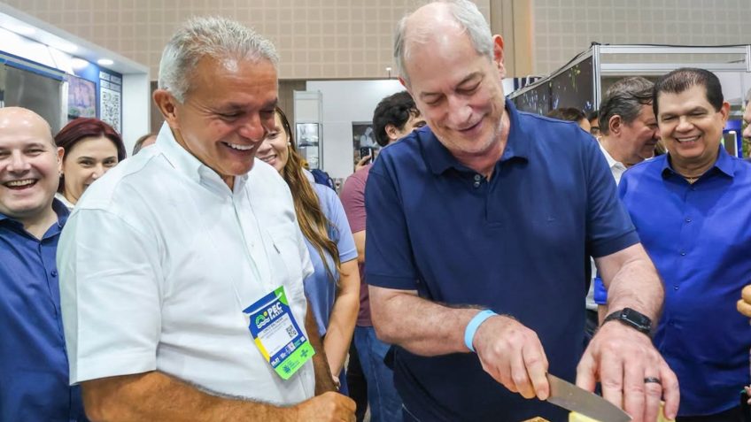 Ciro Gomes diz que não viu vídeo de Michelle sobre Flávio