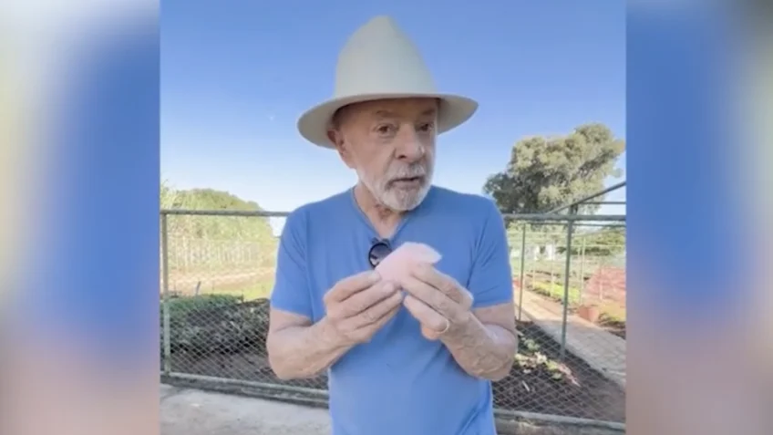 Lula colhe mandioca sem agrotóxico e sem tarifaço , posta Janja