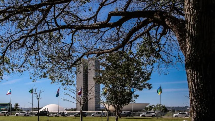 Leia a íntegra do projeto que aumenta punição a crimes sexuais on-line
