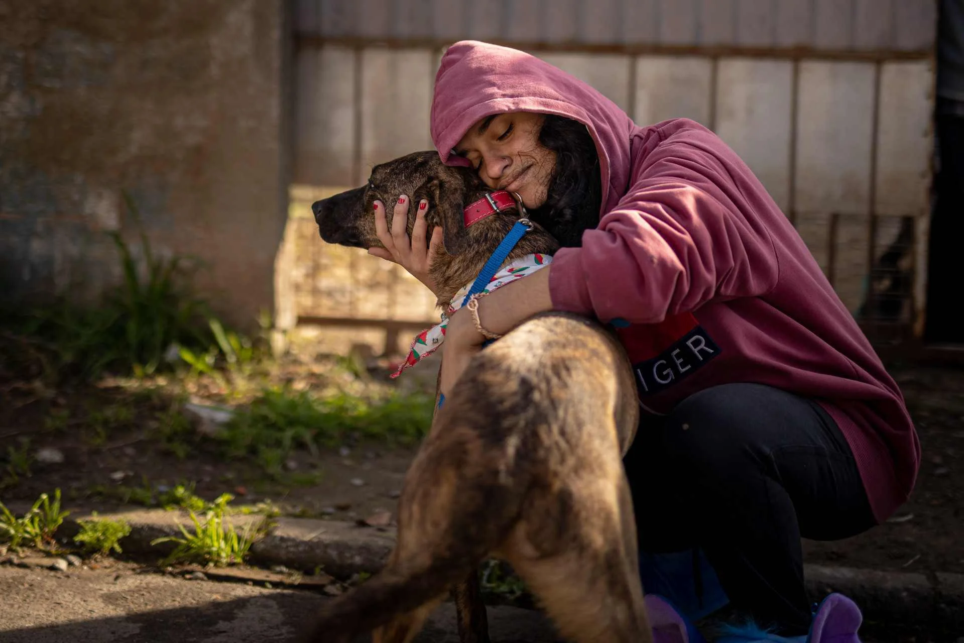 Reconheci o olhar : Dois anos após enchente, família de Canoas reencontra cachorro perdido veja momento emocionante abc+