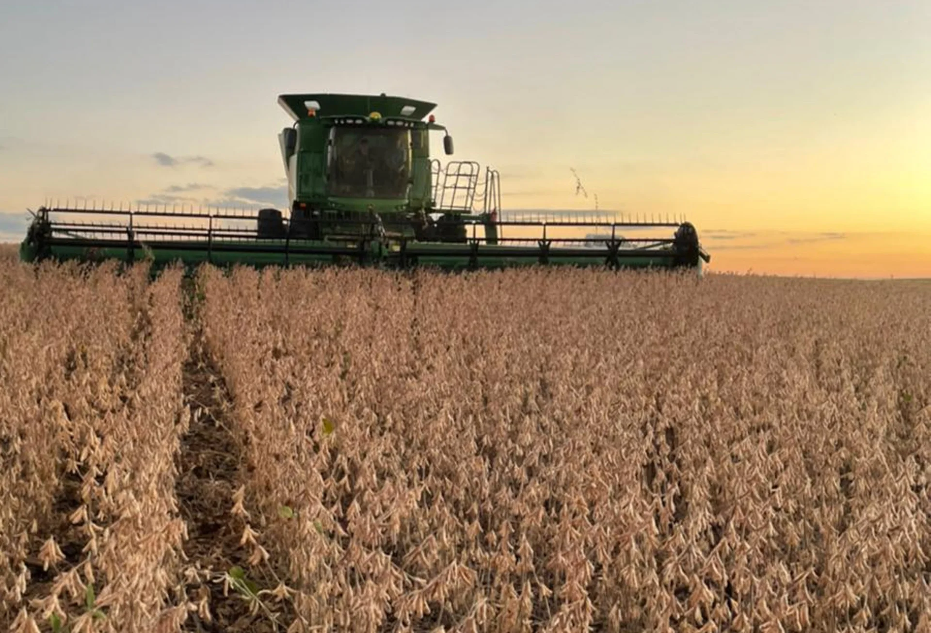 Super El Niño é forte ameaça à nova safra governo reavalia proteção a produtores abc+