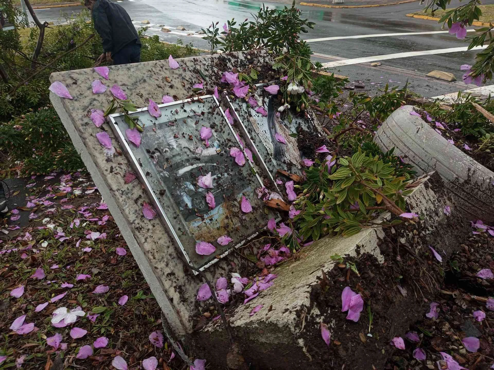 Motorista foge após capotamento em Novo Hamburgo acidente destruiu memorial de jovem morta por motorista embriagada abc+