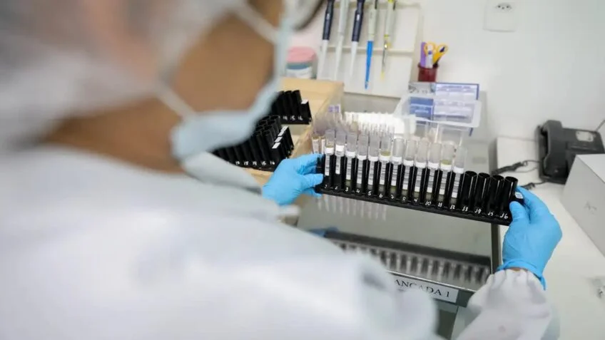 PUC-Rio usa IA para descobrir quais peptídeos não causam alergia