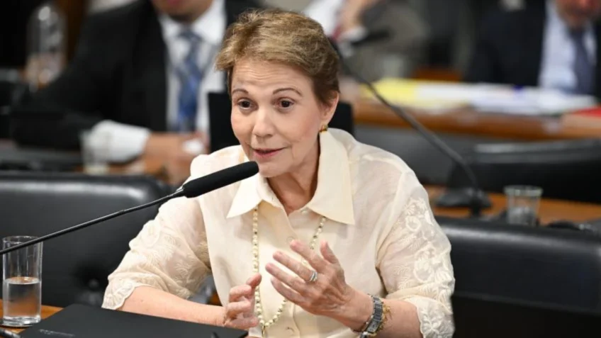 Atraso na negociação de dívidas ameaça acesso ao Plano Safra, diz senadora