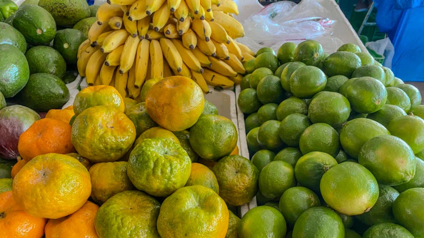 Bruno Blecher Exportação de frutas frescas pode ultrapassar US$ 1 bilhão em 2026
