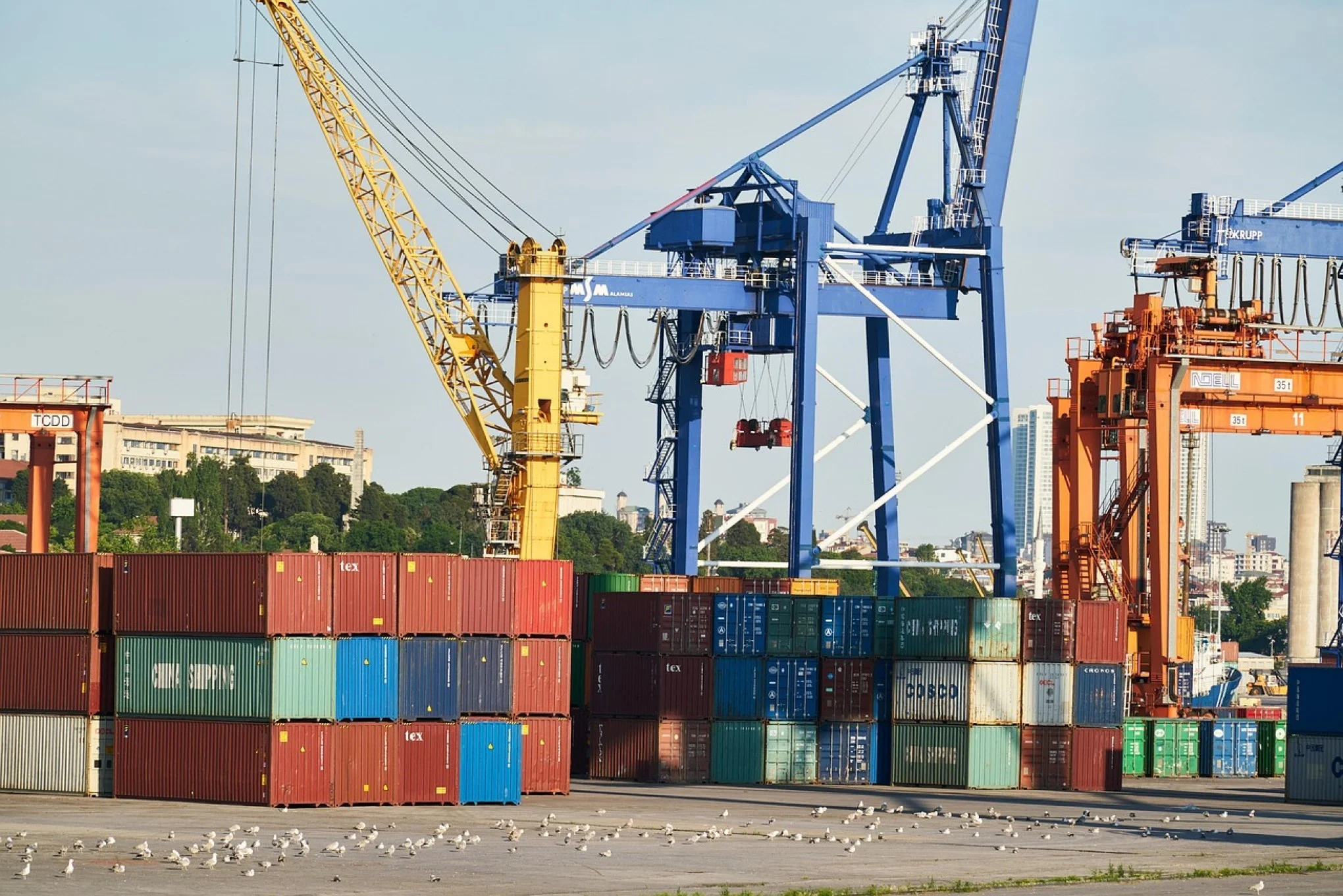 TARIFAÇO: Quase 50% das exportações gaúchas serão impactadas com nova cobrança do governo Trump abc+
