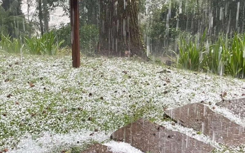 Como se proteger do granizo que promete castigar o RS em 2026 abc+