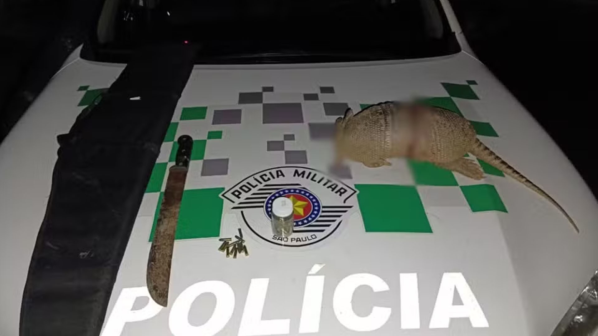 Trio é multado por morte de tatu em área de proteção ambiental G1