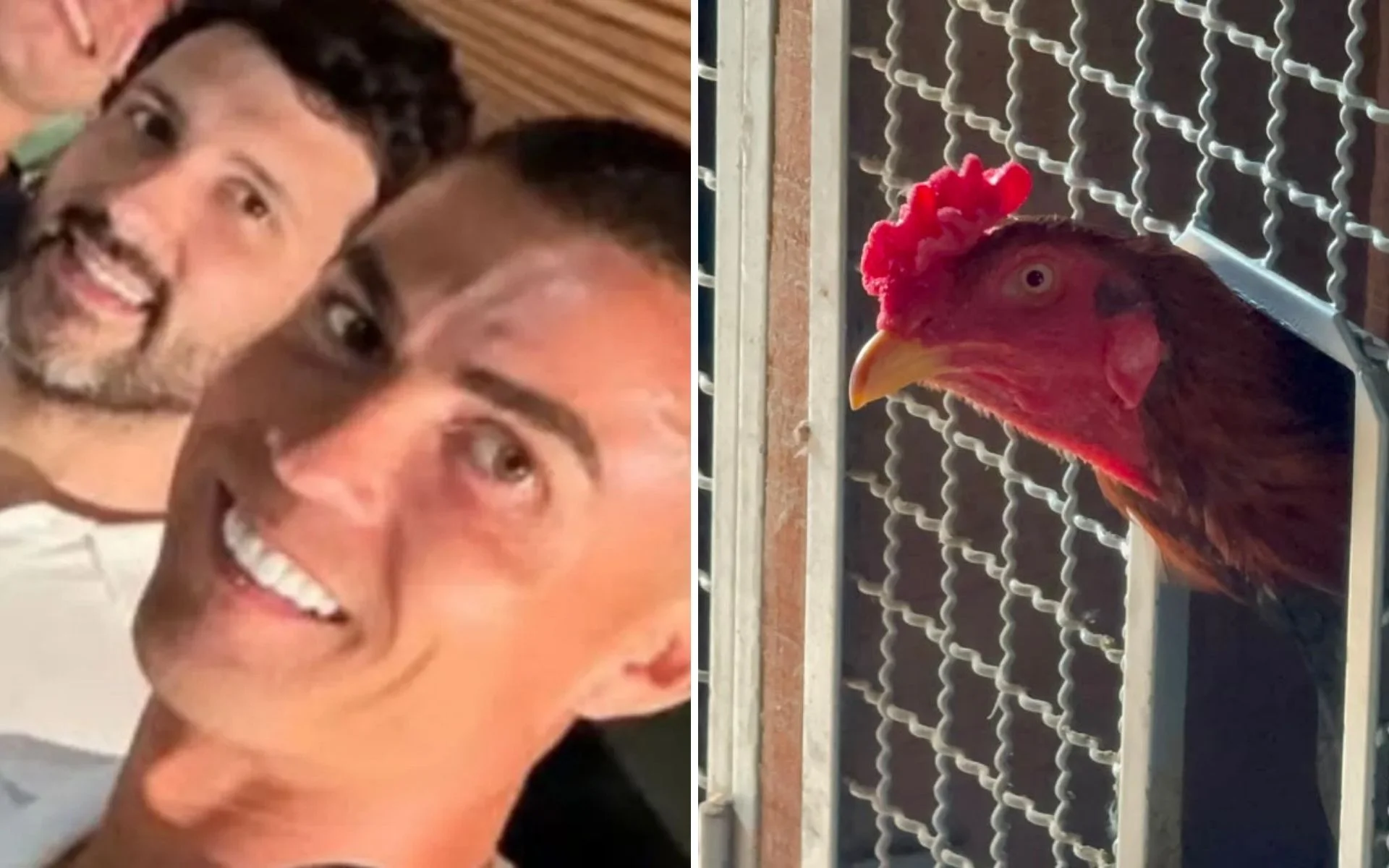 Cunhado de Cristiano Ronaldo é alvo de operação contra rinhas de galo em Gramado abc+