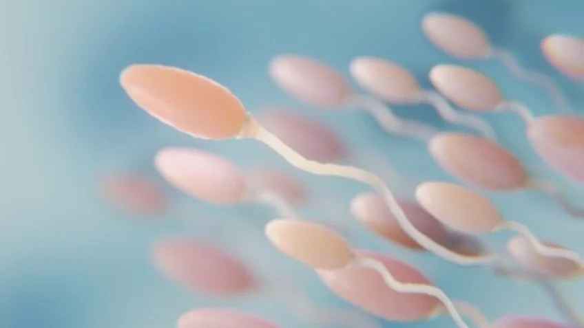 Casos na Europa reacendem debate sobre limite para doadores de esperma