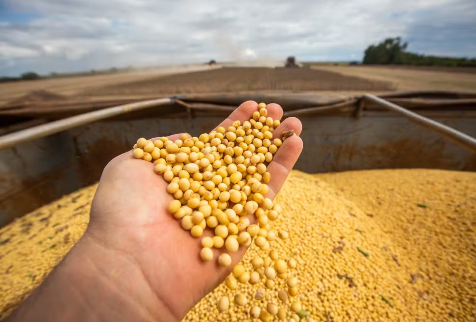EUA podem perder para o Brasil o papel de maior exportador agrícola G1