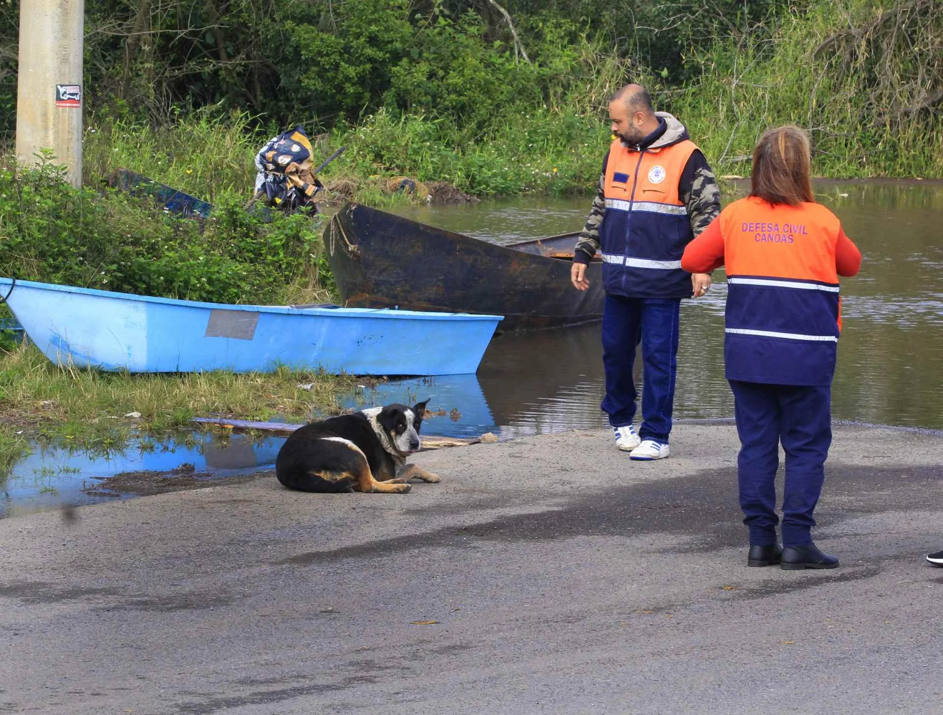 Preciso cuidar dos meus cachorros : Moradores da Praia do Paquetá estão necessitando de ração para os animais abc+
