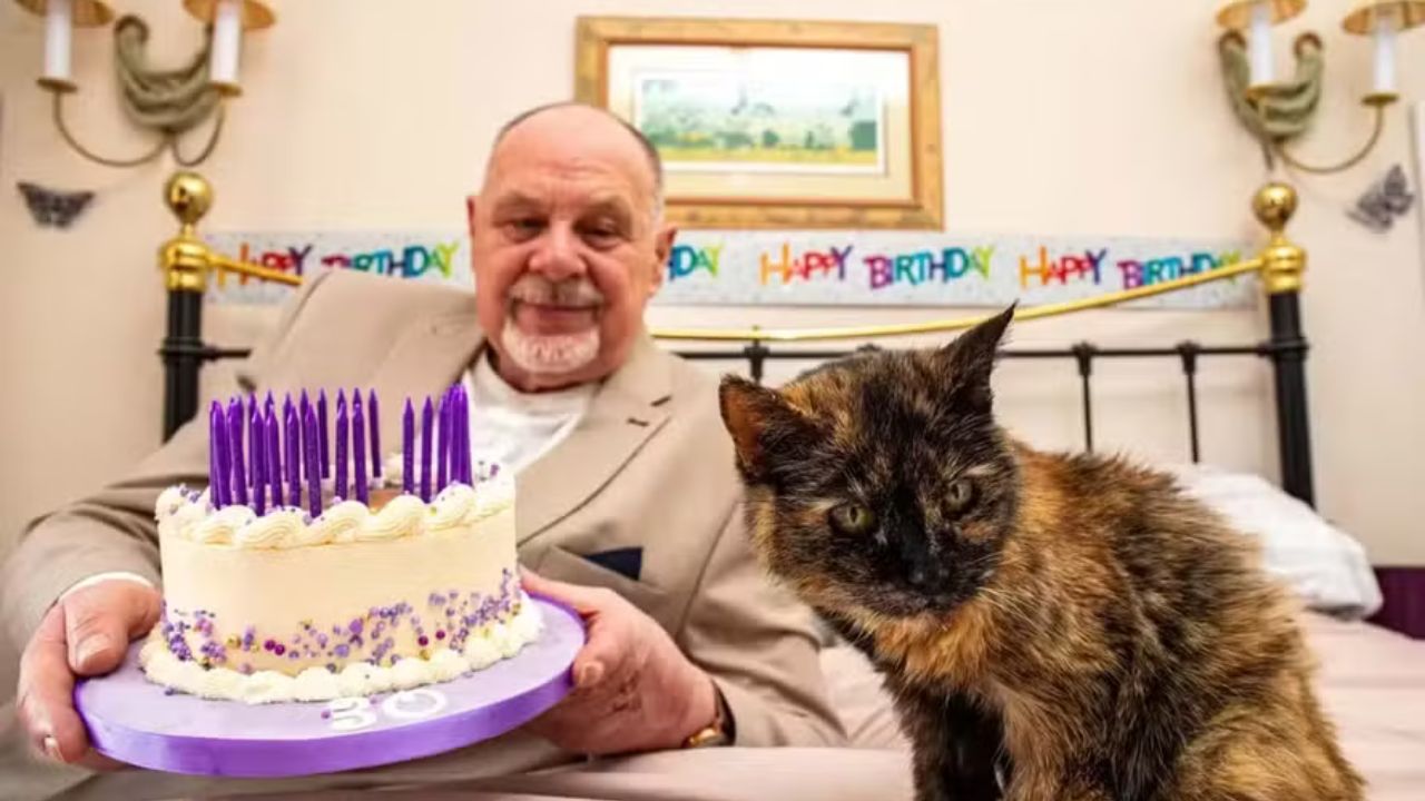 Gata de 146 anos humanos busca título de mais velha do mundo no Livro dos Recordes - Aventuras na História