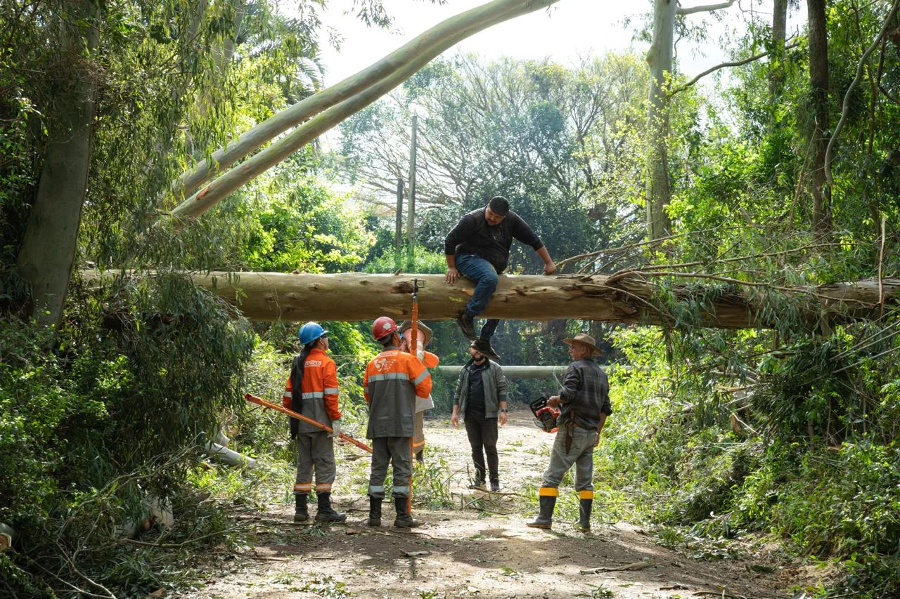 Com mais de 50 árvores caídas, São Leopoldo segue atendendo moradores e locais atingidos pelo forte vendaval abc+
