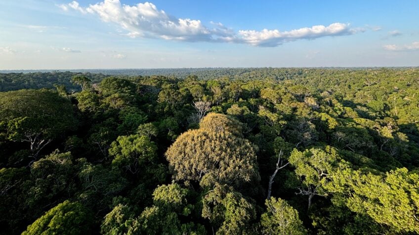 USP lidera rede para transformar biodiversidade em inovação