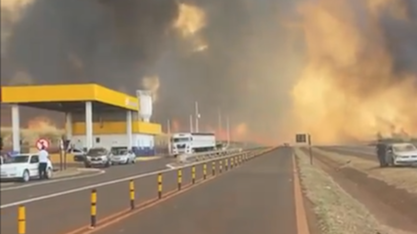 Incêndio cerca rodovia no interior de São Paulo; assista