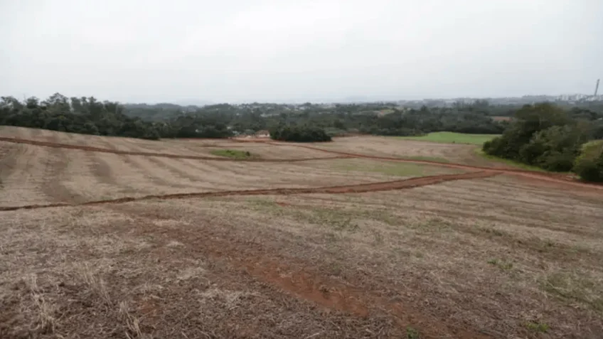 Prazo para declarar Imposto Territorial Rural começa nesta 2ª feira