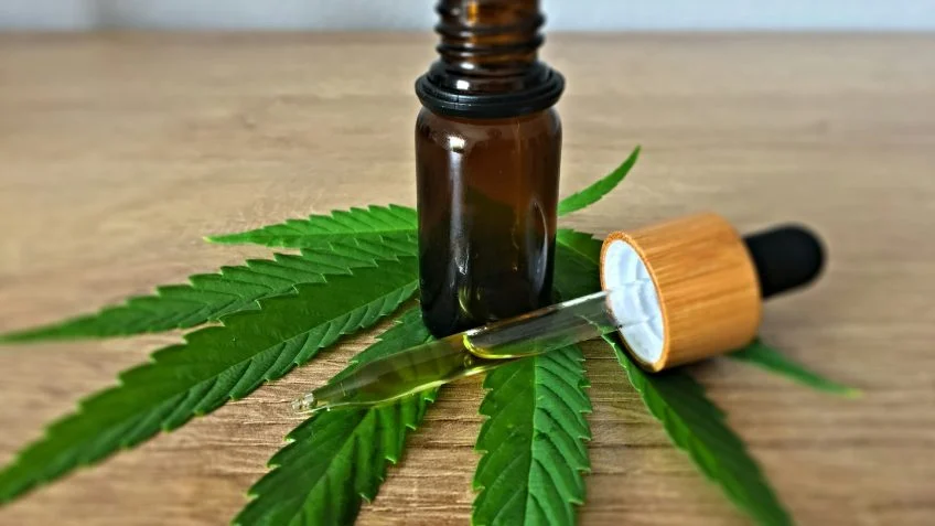 Biomedicina regulamenta atuação em cadeia da cannabis medicinal