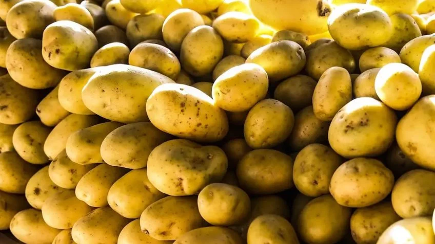 Cesta básica fica mais barata em 26 capitais em julho