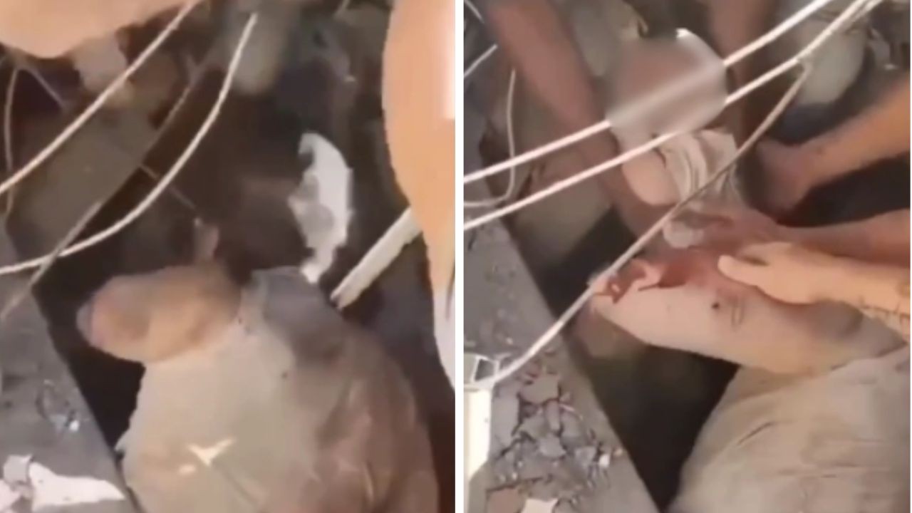 Mãe e bebê são resgatados com vida de escombros após terremoto na Colômbia vídeo