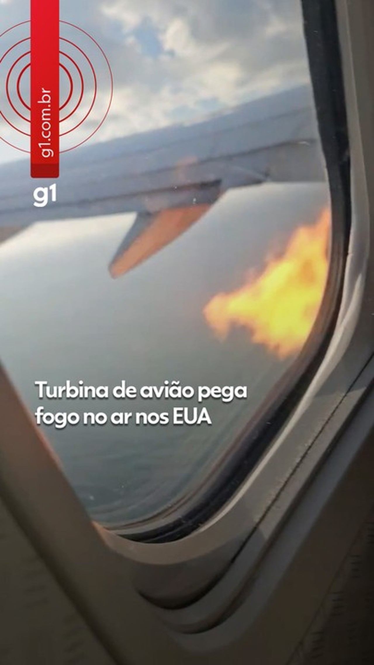 VÍDEO: Motor de avião pega fogo após choque com pássaros nos EUA G1