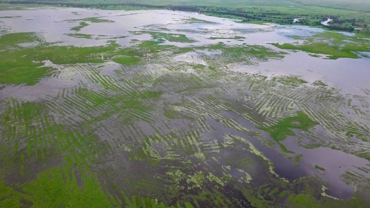 Há milhares de anos, agricultores na Colômbia construíram um grande sistema hídrico sem um governo central - Aventuras na História
