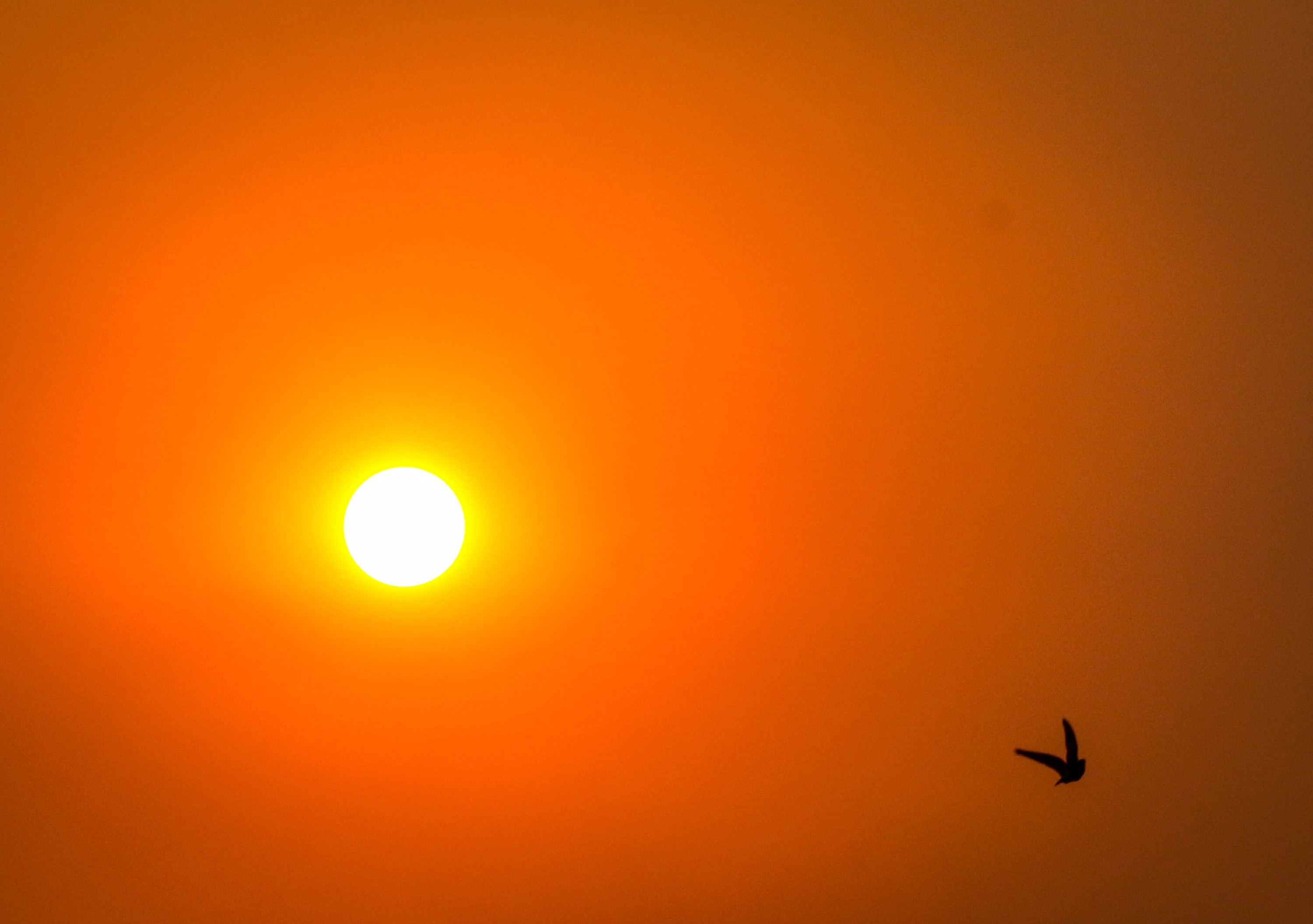 Chance de El Niño muito forte entre outubro e dezembro chega a 95% G1