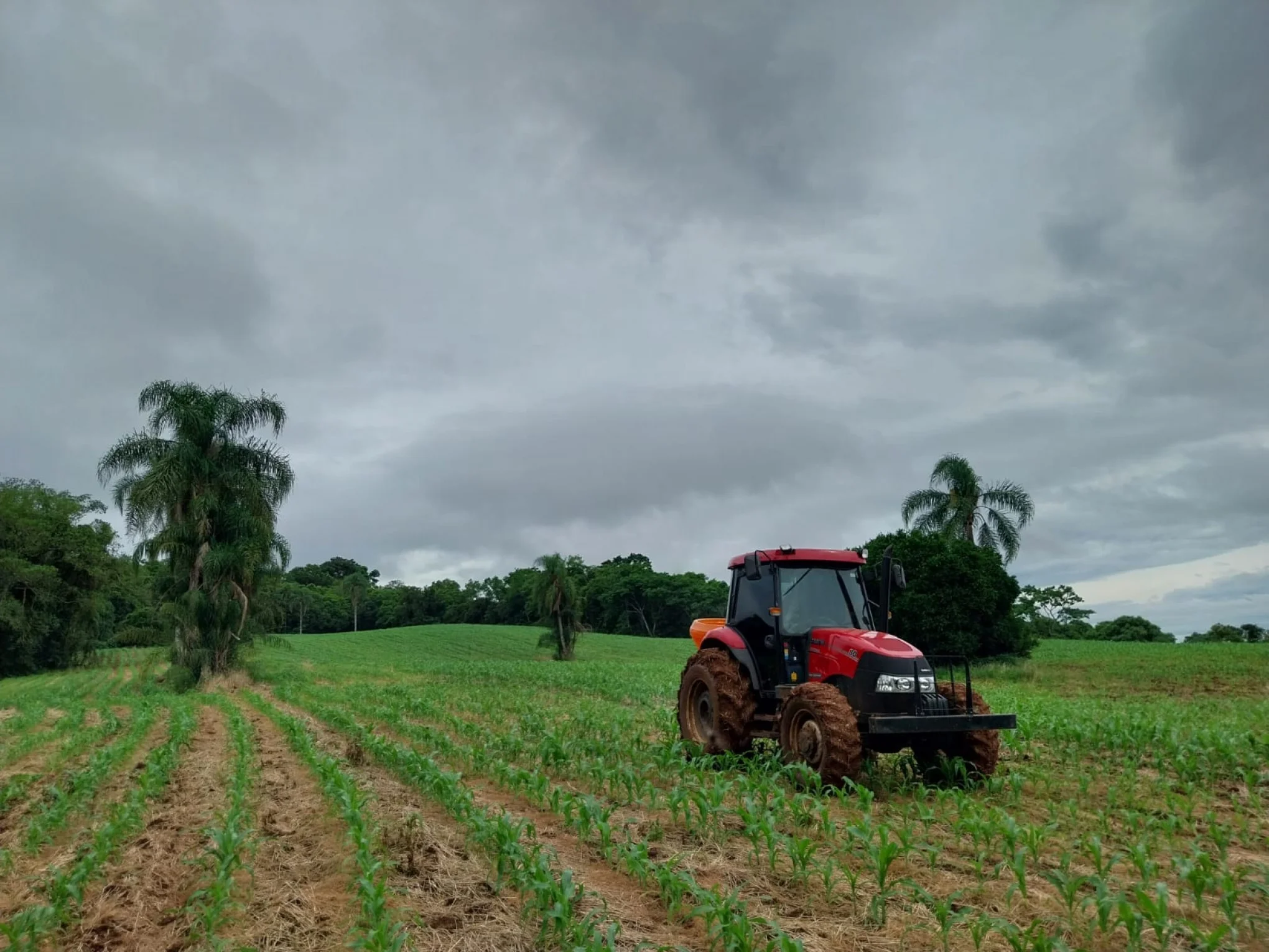 El Niño extremo acende alerta na economia e pode pesar no seu bolso veja os impactos no RS e no mundo abc+
