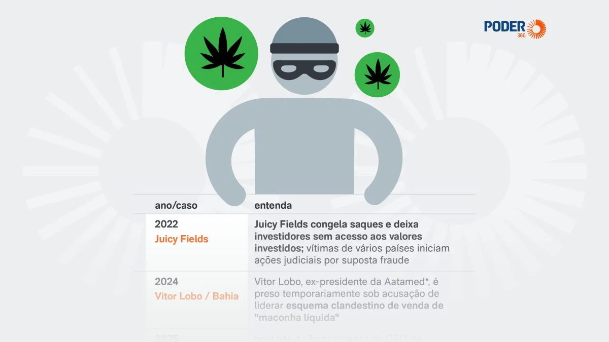 Anita Krepp Por que a indústria da cannabis virou terreno fértil para golpes