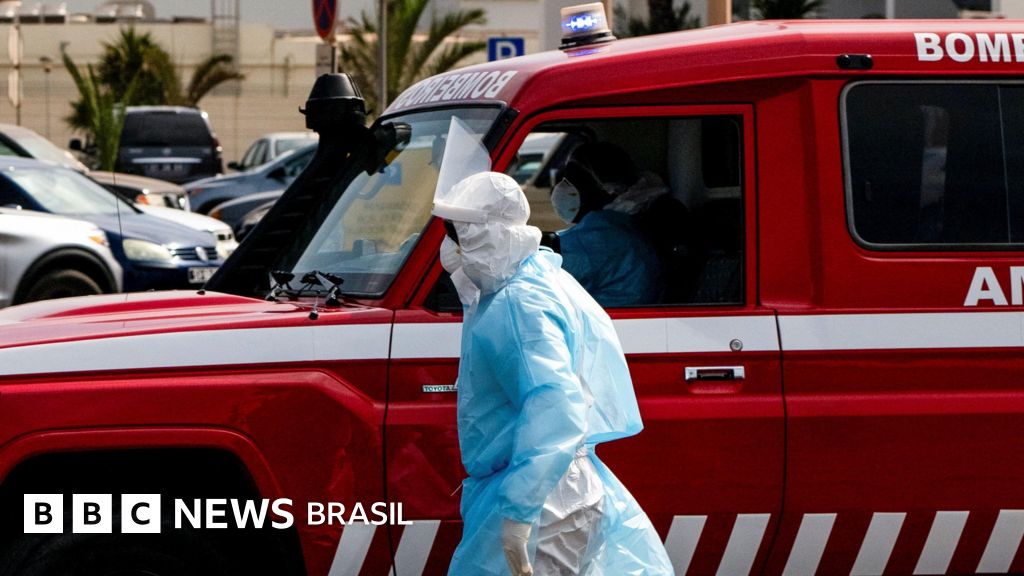 Devemos nos preocupar com o hantavírus que já matou 3 em navio? - BBC News Brasil