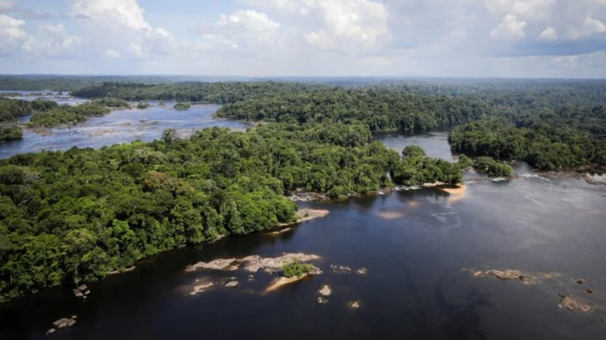 Amazônia: indígenas catalogam espécies para proteger biodiversidade