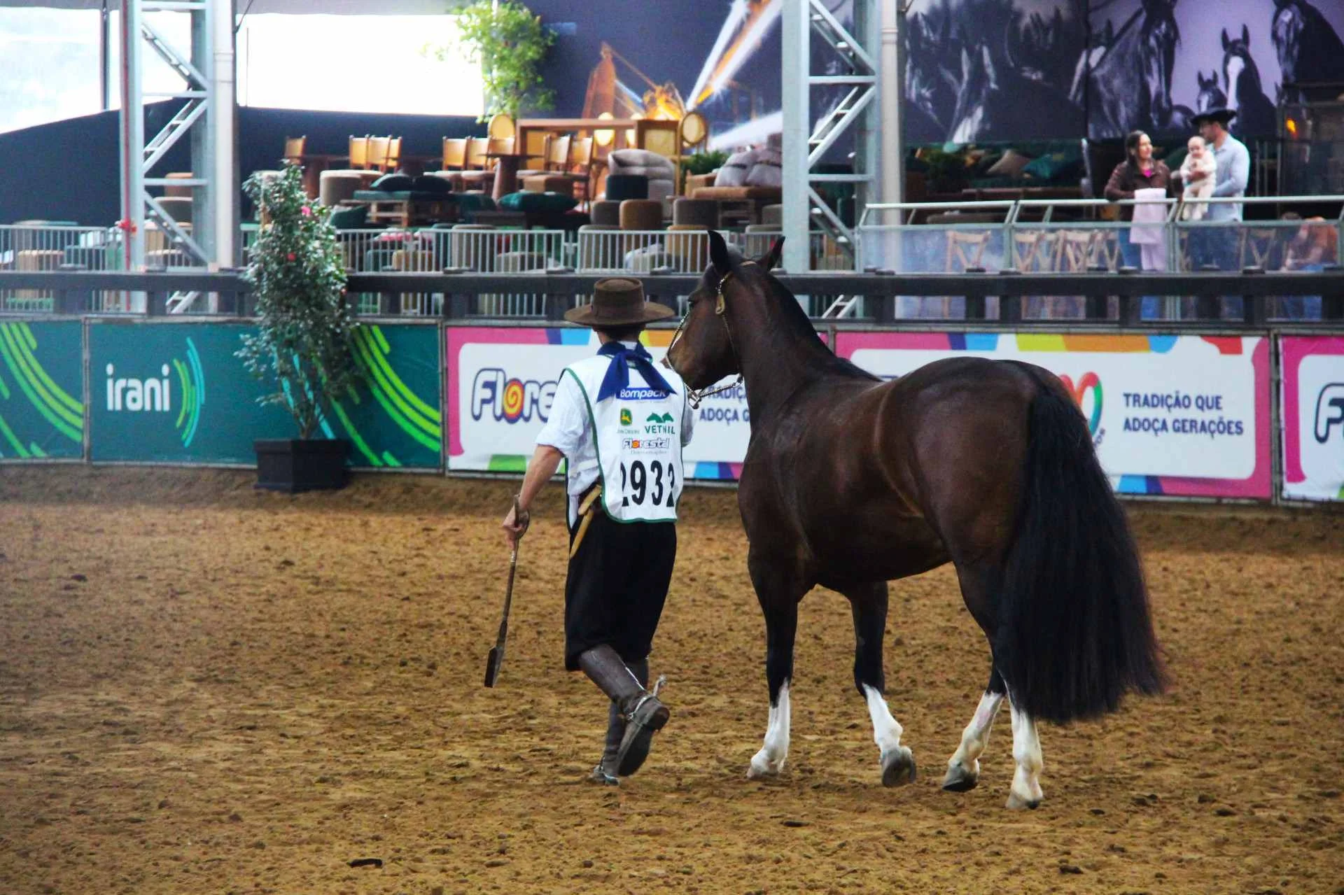 EXPOINTER: Cavalo Crioulo movimenta R$ 5,3 bilhões por ano no Brasil abc+