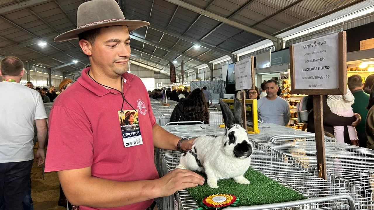 EXPOINTER: Criadores de coelhos de Novo Hamburgo conquistam grandes campeonatos na edição 2026 abc+