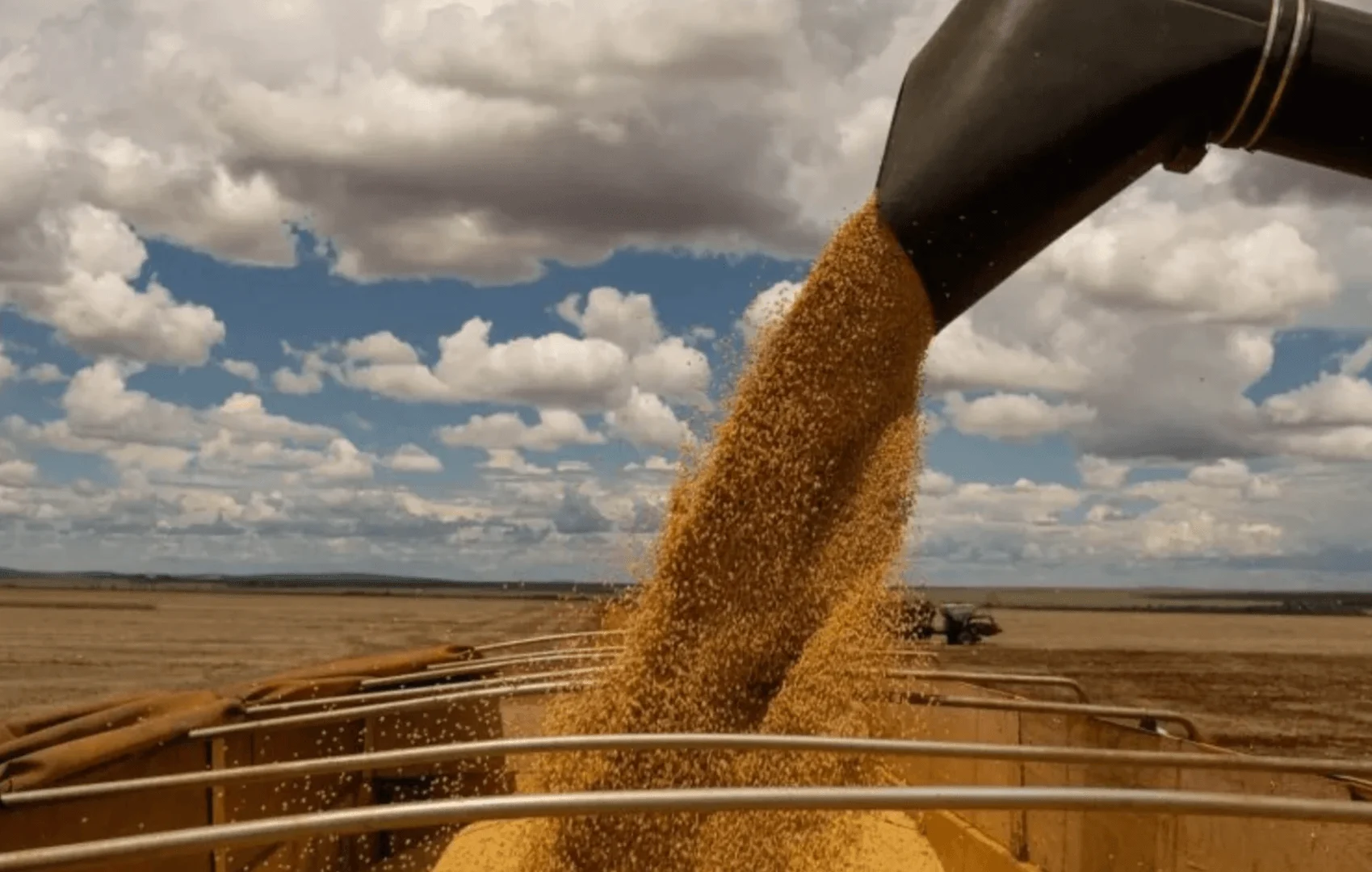 Óleo cru e soja puxam saldo comercial em agosto