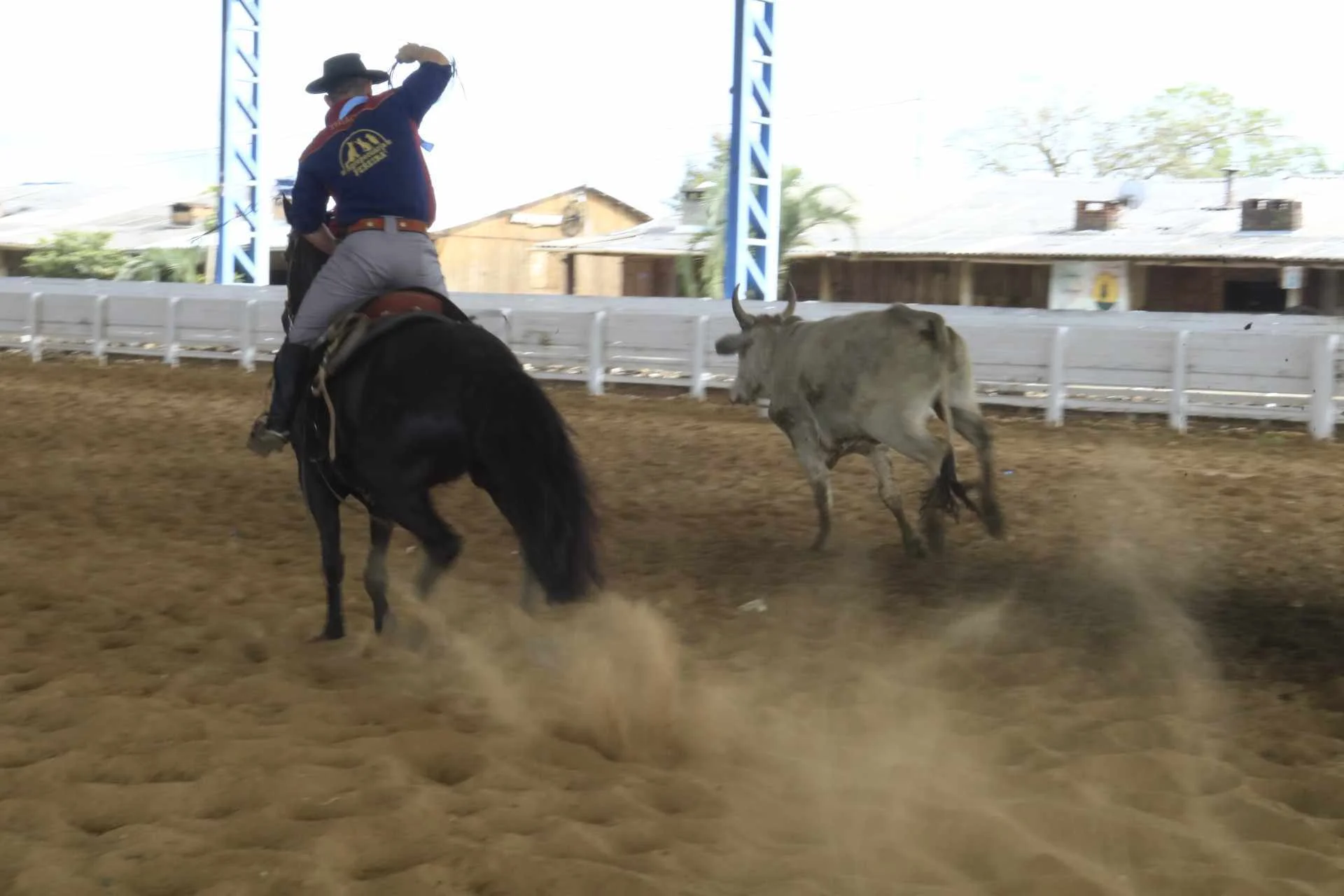 Rodeio Campeiro reúne laçadores no Parque do Gaúcho, em Canoas abc+