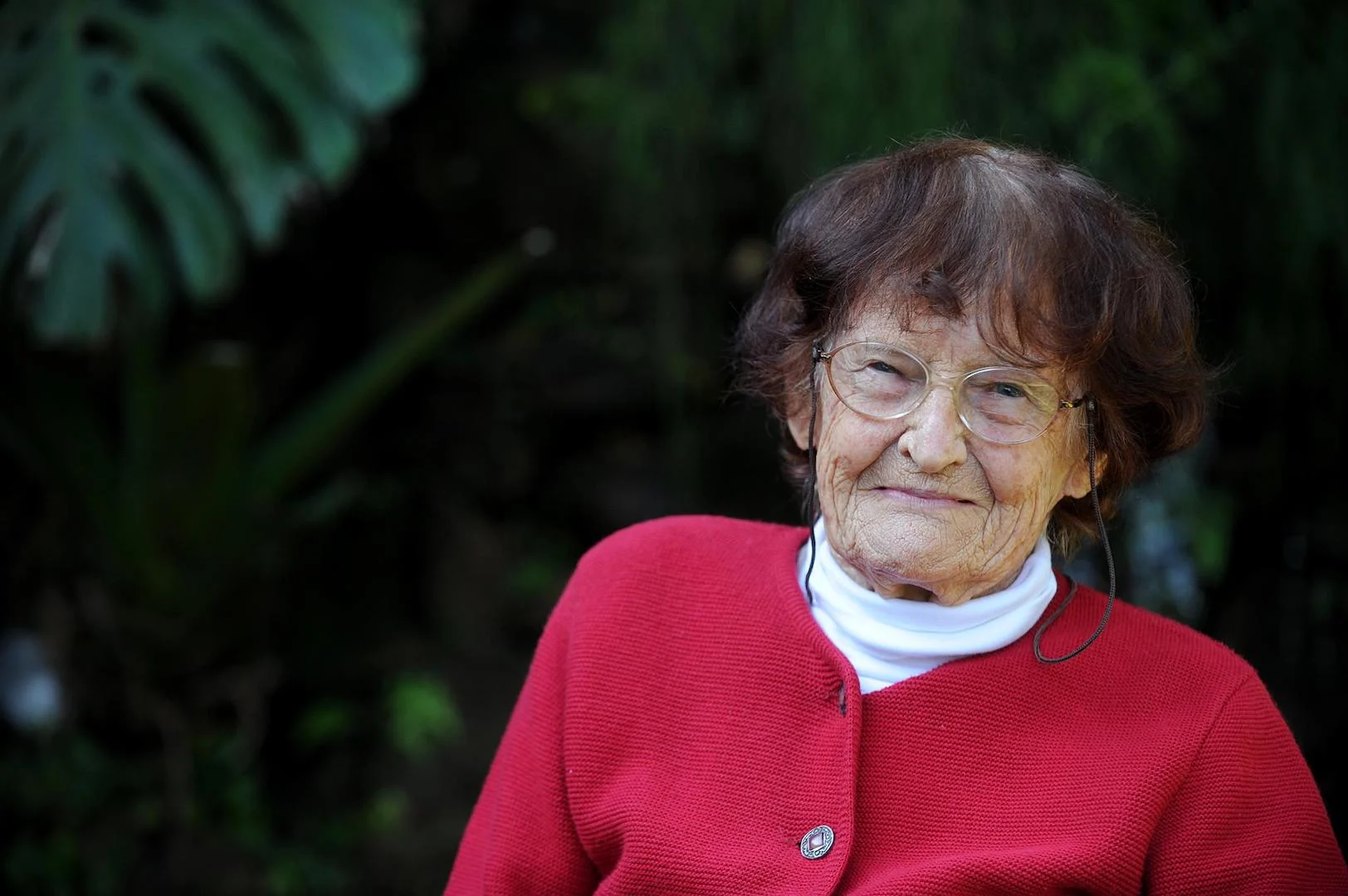 Mara Gama PL da agroecologia vira Lei Primavesi e é aprovado na Câmara