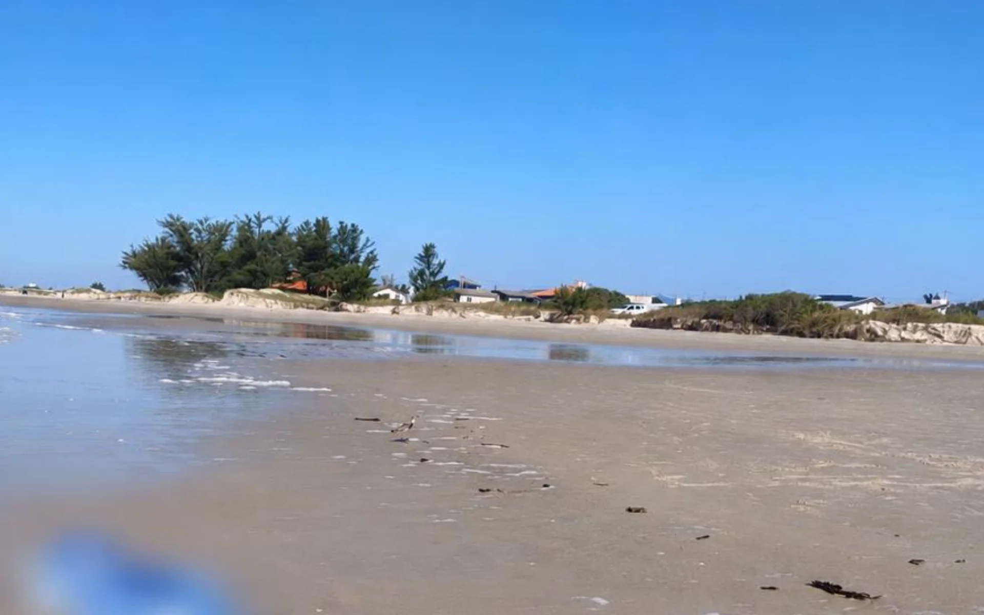 Homem morre após ser atacado por três pitbulls em praia do litoral norte do RS abc+