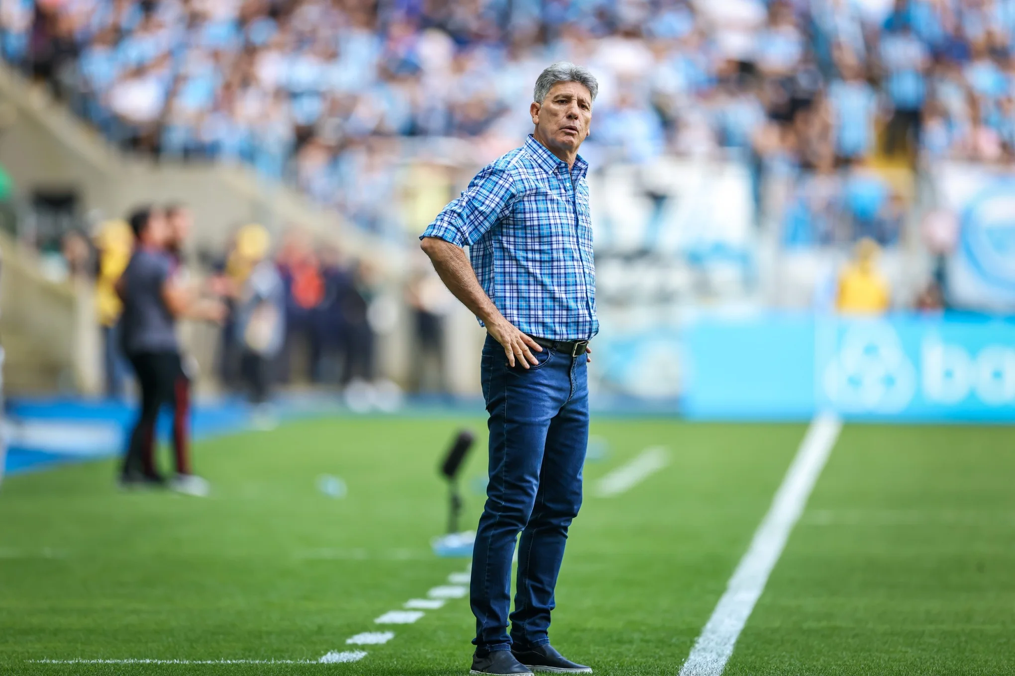 Grêmio já conversa com Renato Gaúcho, mas lista para substituir Luís Castro tem mais três nomes abc+