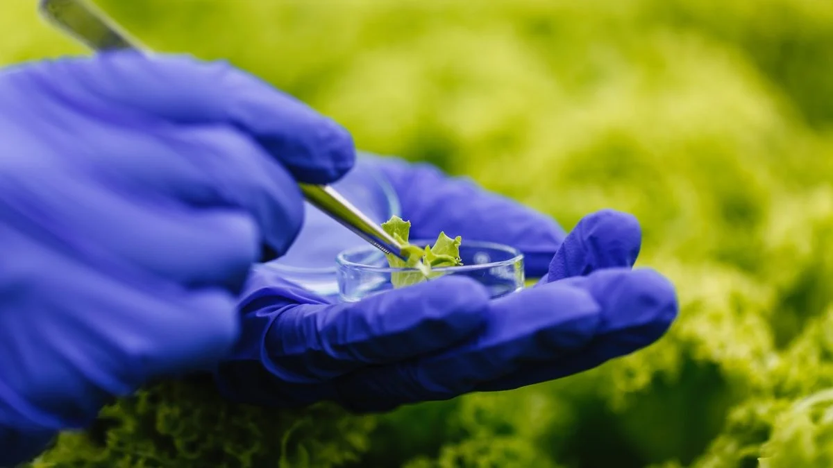 Xico Graziano Bioinsumos: entre os químicos e os orgânicos, fique com os 2