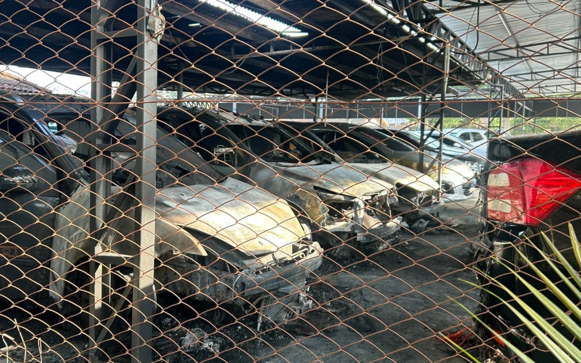 Incêndio criminoso em revenda de veículos atinge oito carros em Novo Hamburgo abc+