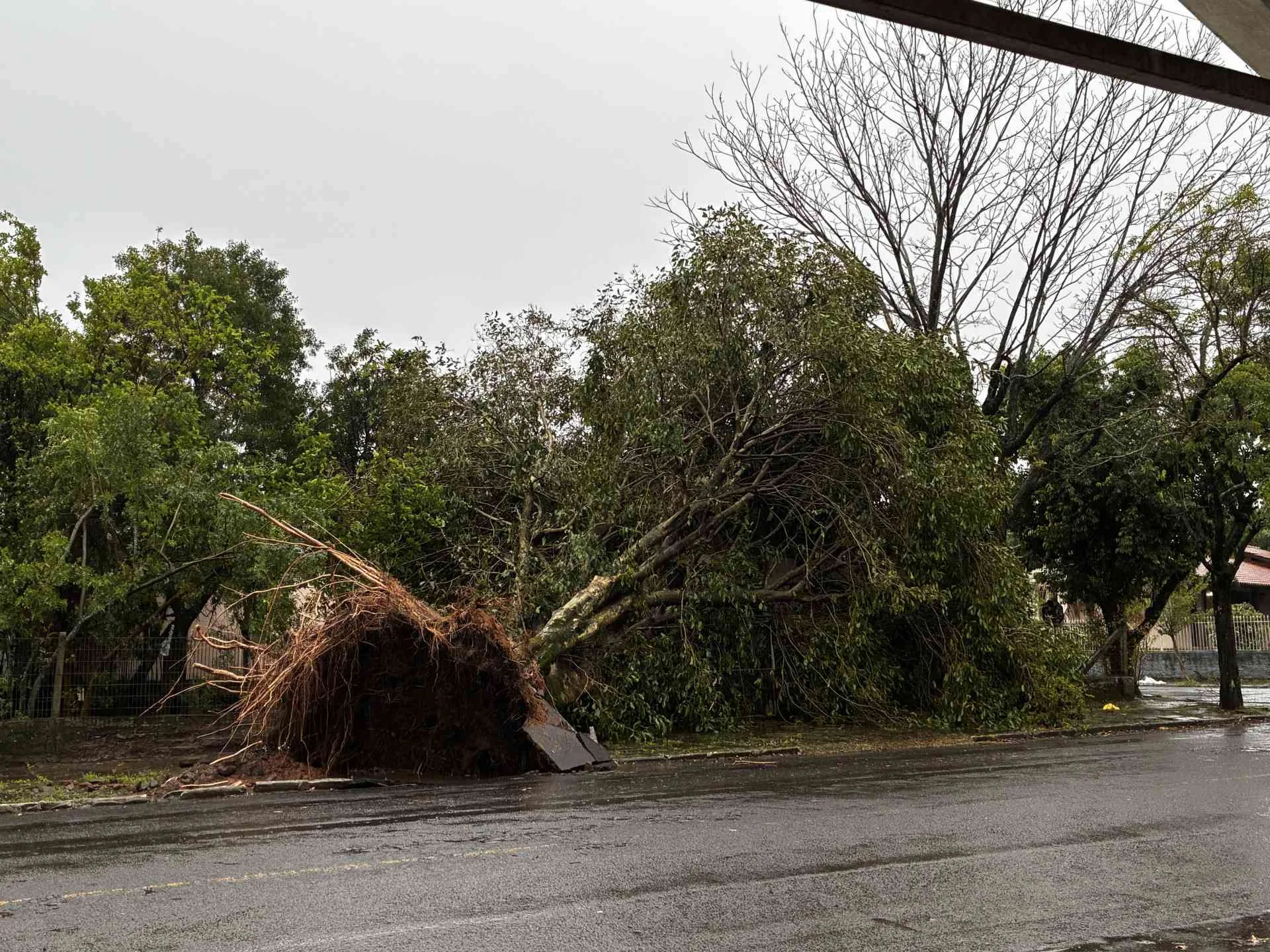 Tempestade no RS deixa 2 mortos e 3 desaparecidos 119 cidades registram danos abc+